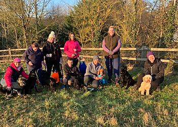 Essential Canine Life Skills Ltd