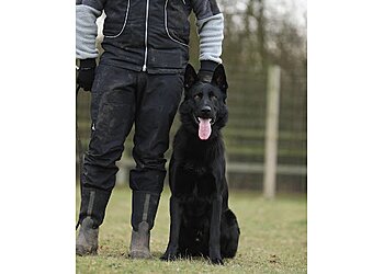 Essex Dog Trainer