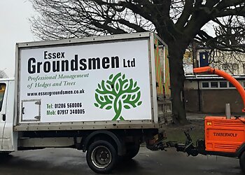 Colchester tree services Essex Groundsmen image 1