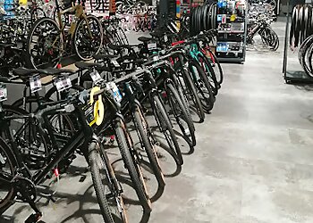 Evans Cycles Southport Ocean EV