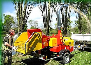 Evergreen Landscape and Tree Services Ltd.