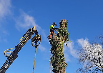 Evergreen Landscape and Tree Services Ltd.