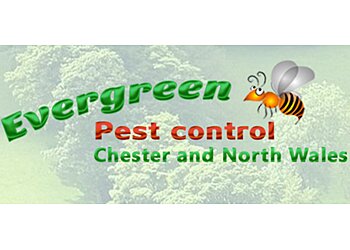 Flintshire pest control Evergreen Pest Control image 1