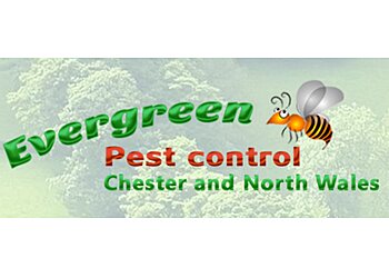 Mold pest control Evergreen Pest Control image 1