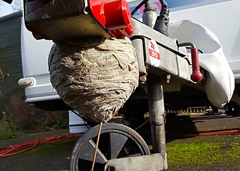 Every Season Pest Control