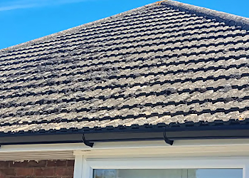 Everyday Exterior Cleaning