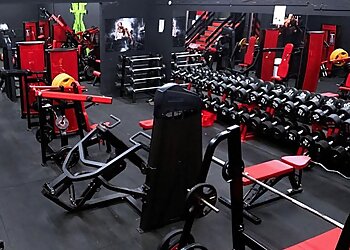 Evolution Fitness XL