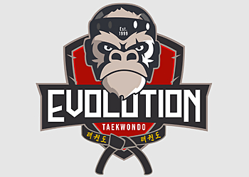 Evolution Taekwondo