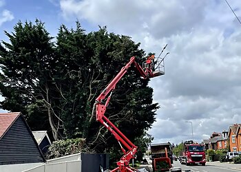 Evolution Tree Surgery & Ground Care Ltd