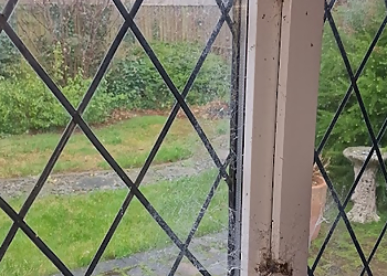 Evolved Exterior Cleaning