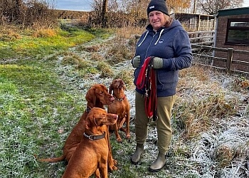 Ewloe Boarding Kennels & Cattery