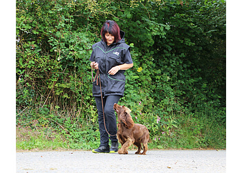 Extremus Dog Training Ltd