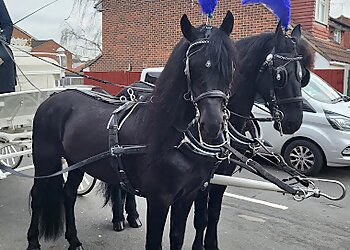 F.E.J. Green & Sons Funeral Directors