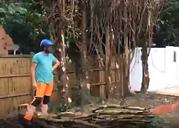 Faithful Tree Care Ltd.