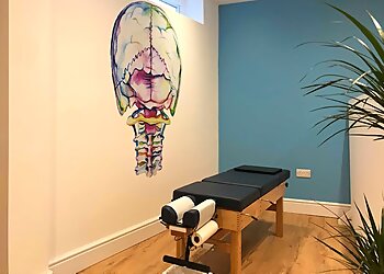Falcon Chiropractic