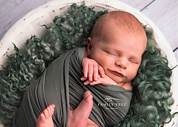 Family Tree Photography