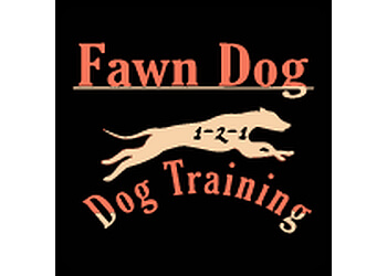 Fawn Dog 1-2-1 Dog Training