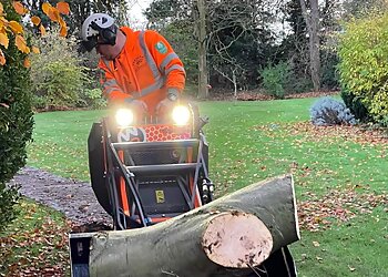 Fernoak Tree Surgeons Ltd.