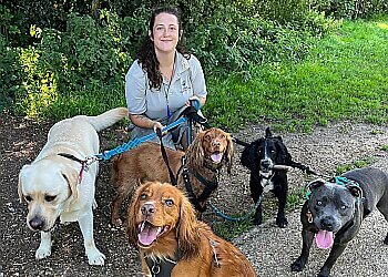 Fetch Dog Walking & Training Ltd