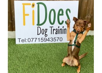 FiDoes Dog Training