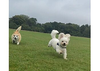 Fido and Friends Home Daycare & Boarding