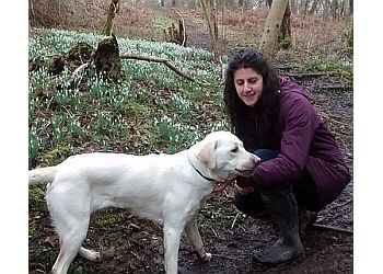 Field and Home Dog Training