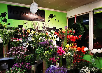 Fiori Florist