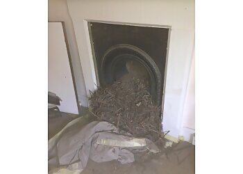 First Choice Chimney Sweeps