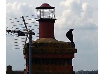 First Choice Chimney Sweeps