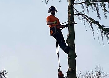 First Class Tree Care LTD