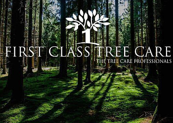First Class Tree Care LTD