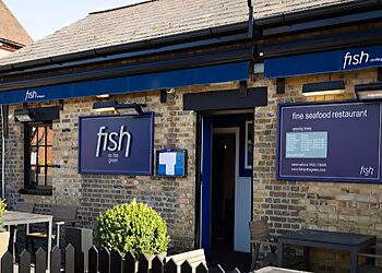 Fish on the Green