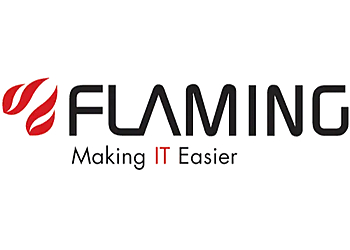 Flaming Ltd.