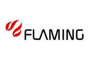 Flaming Ltd