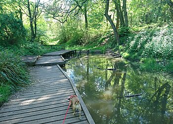 Flatts Lane Country Park