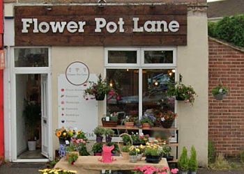 Flower Pot Lane