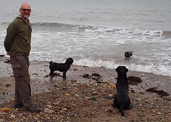 Follow My Lead 1-2-1 Dog Training