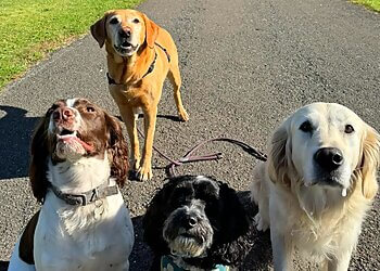 Follow My Lead Dundee