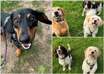 Follow My Lead Dundee