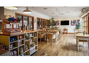 Fonthill House Nursing Home