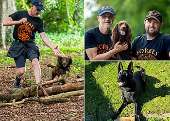 Forbes Dog Training
