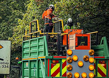 Foremost Tree Surgeons Ltd.