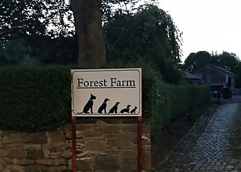 Knowsley dog walkers Forest Farm image 1