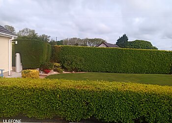 Formston Tree and Garden Care