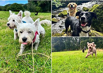 For the Love of Dog Walking & Training