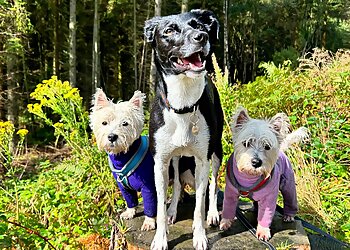 Mold dog walkers For the Love of Dog Walking & Training image 1