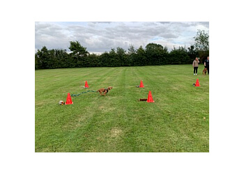 Four Paws Dog Training