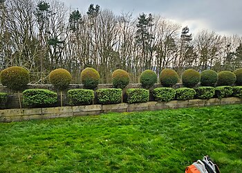 Four Season Garden Maintenance