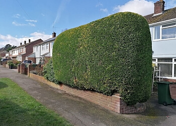 Four Seasons Gardening