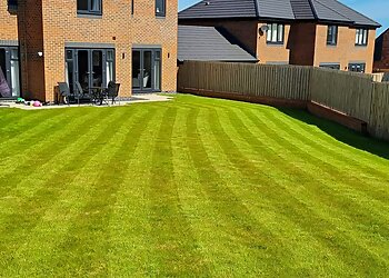 Four Seasons Lawn Care